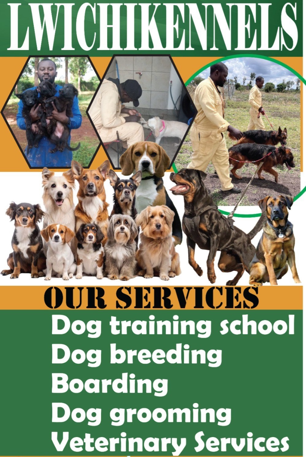 Lwichi Kennels - Comprehensive training services