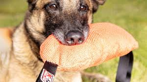 Professional Jute Bite Pillow with Reinforced Handle