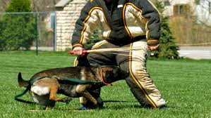 Professional Tactical Bite Suit for Decoy Work