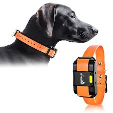 SportDog 425X Pro Professional E-Collar
